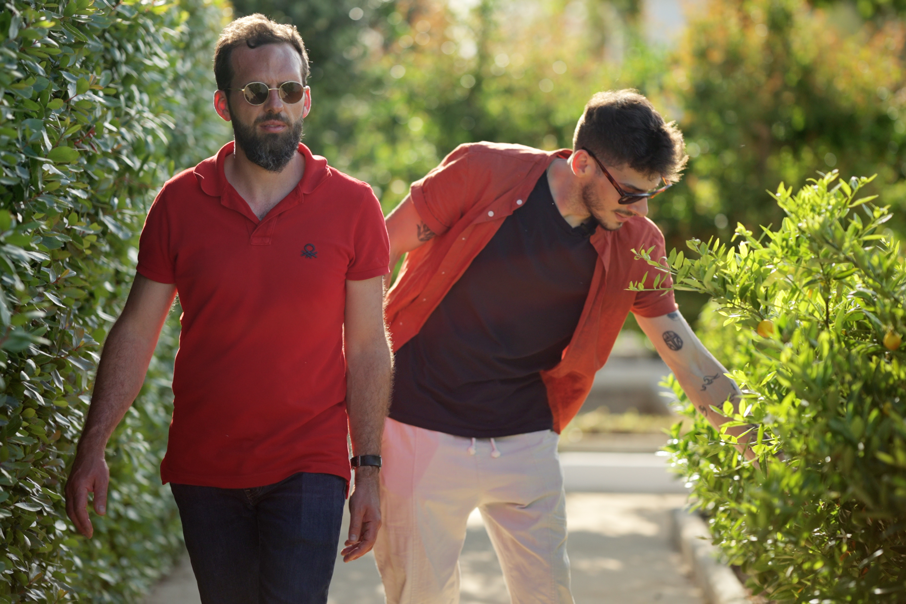 Bartender dans un champ de Yuzu